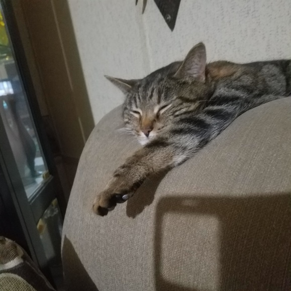 Meet your Posher, Lorri - Picture 6 of 6